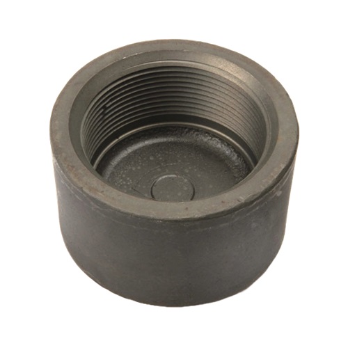 [CS-NB-NPT-3K-CAP-25-A105N]   DN25 (1" NB) NPT 3000# FS CAP END A105N